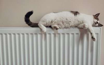 How to Remove a Radiator for Painting: Easy DIY Step-by-Step Guide